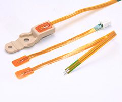 تاريخ تطور الشركة